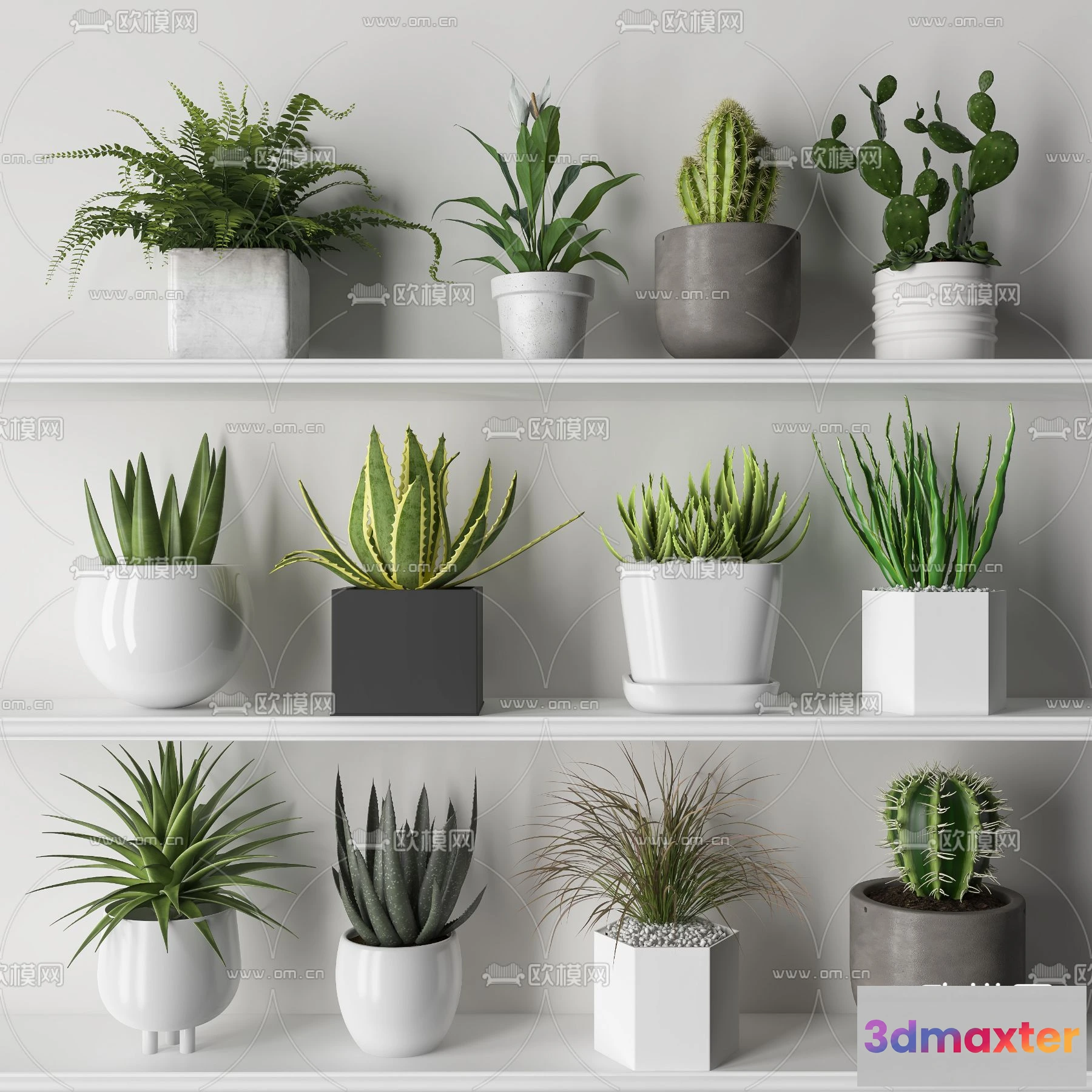 1109034 - Plants and Flower - 3D Modesl - 0196