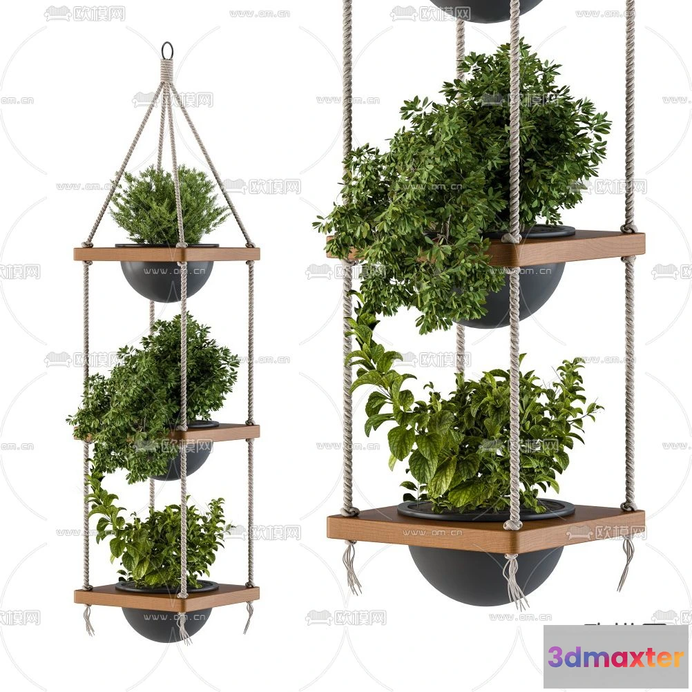 1109052 - Plants and Flower - 3D Modesl - 0205