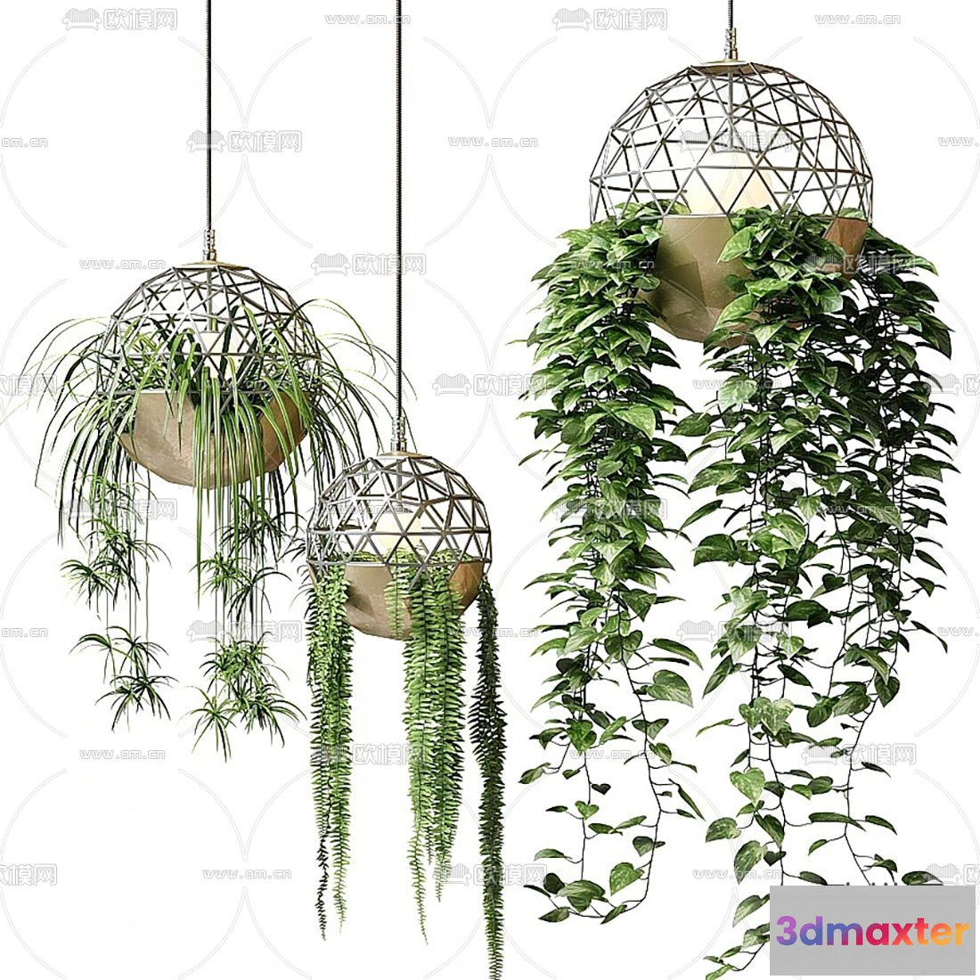 1109054 - Plants and Flower - 3D Modesl - 0206