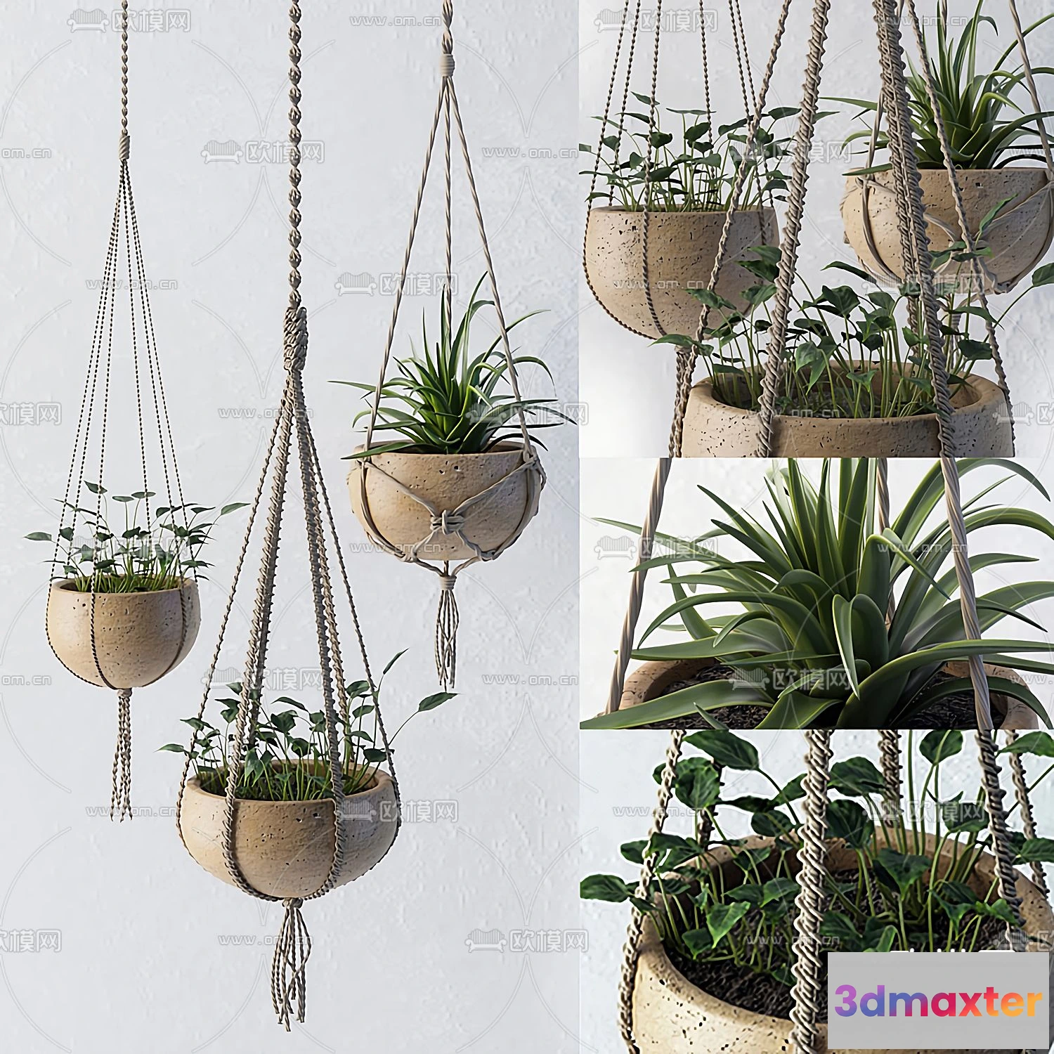 1109062 - Plants and Flower - 3D Modesl - 0210