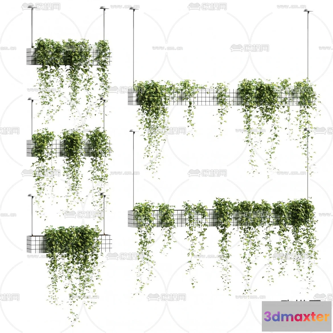 1109066 - Plants and Flower - 3D Modesl - 0212