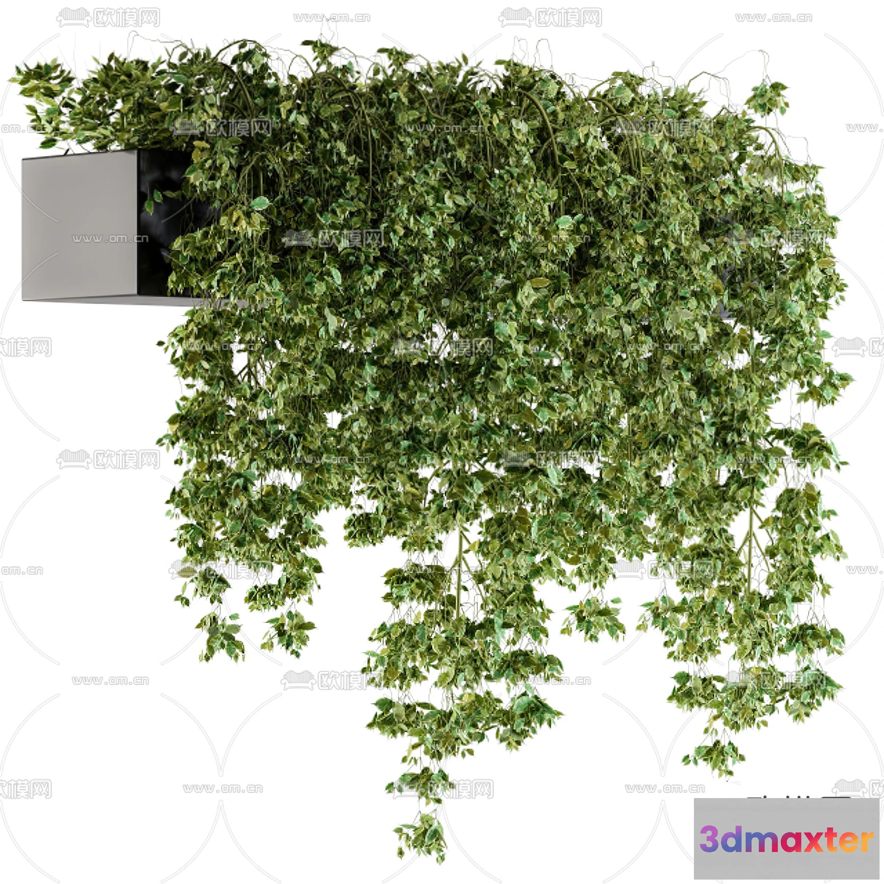 1109070 - Plants and Flower - 3D Modesl - 0214