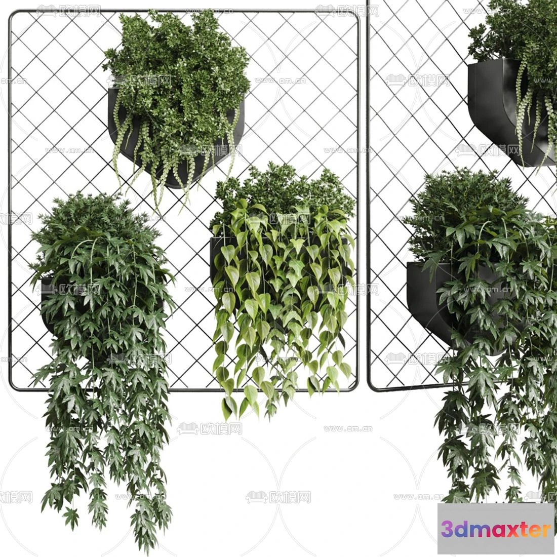 1109074 - Plants and Flower - 3D Modesl - 0216