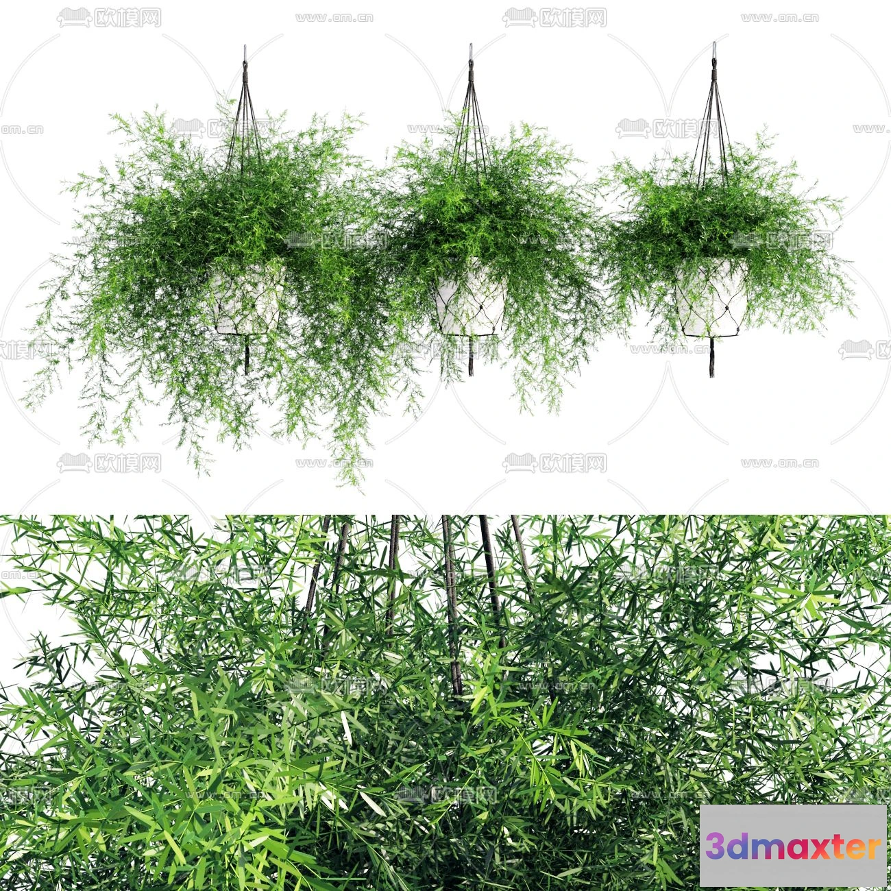 1109078 - Plants and Flower - 3D Modesl - 0218