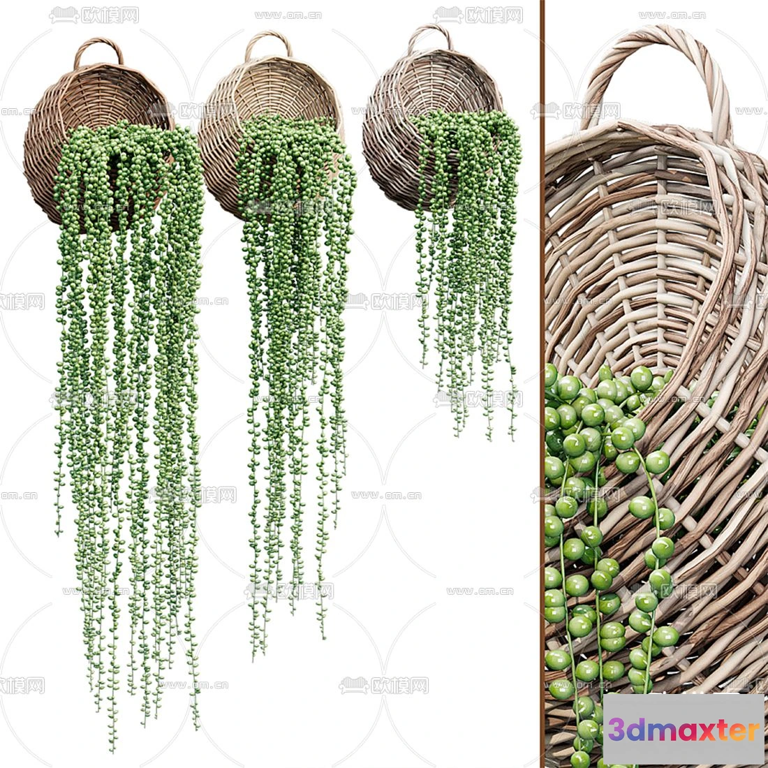 1109080 - Plants and Flower - 3D Modesl - 0219