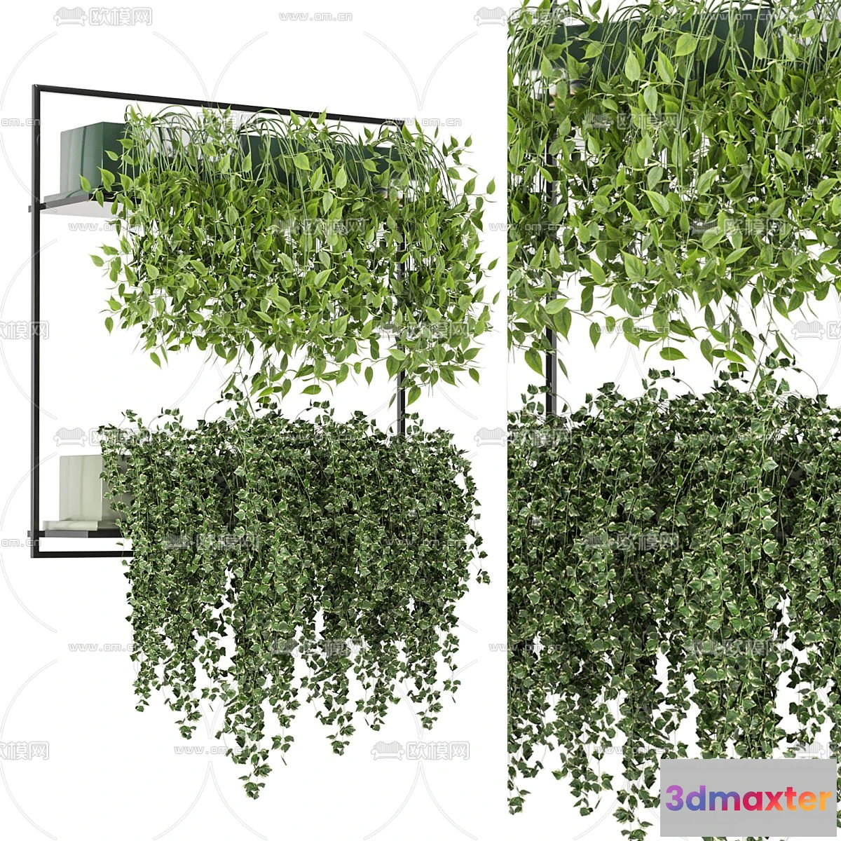 1109086 - Plants and Flower - 3D Modesl - 0222