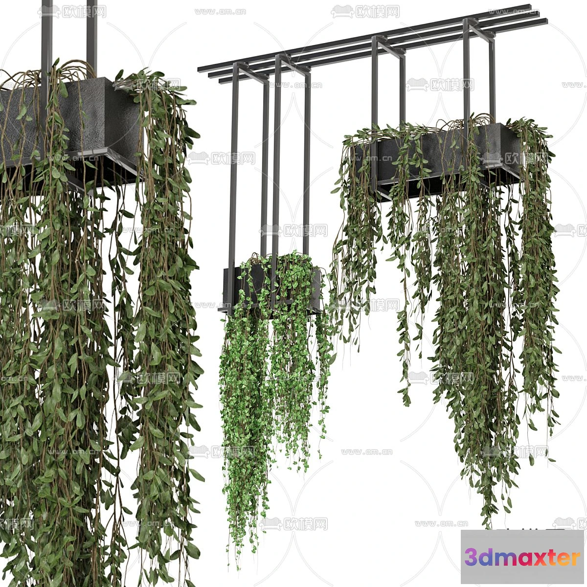 1109088 - Plants and Flower - 3D Modesl - 0223