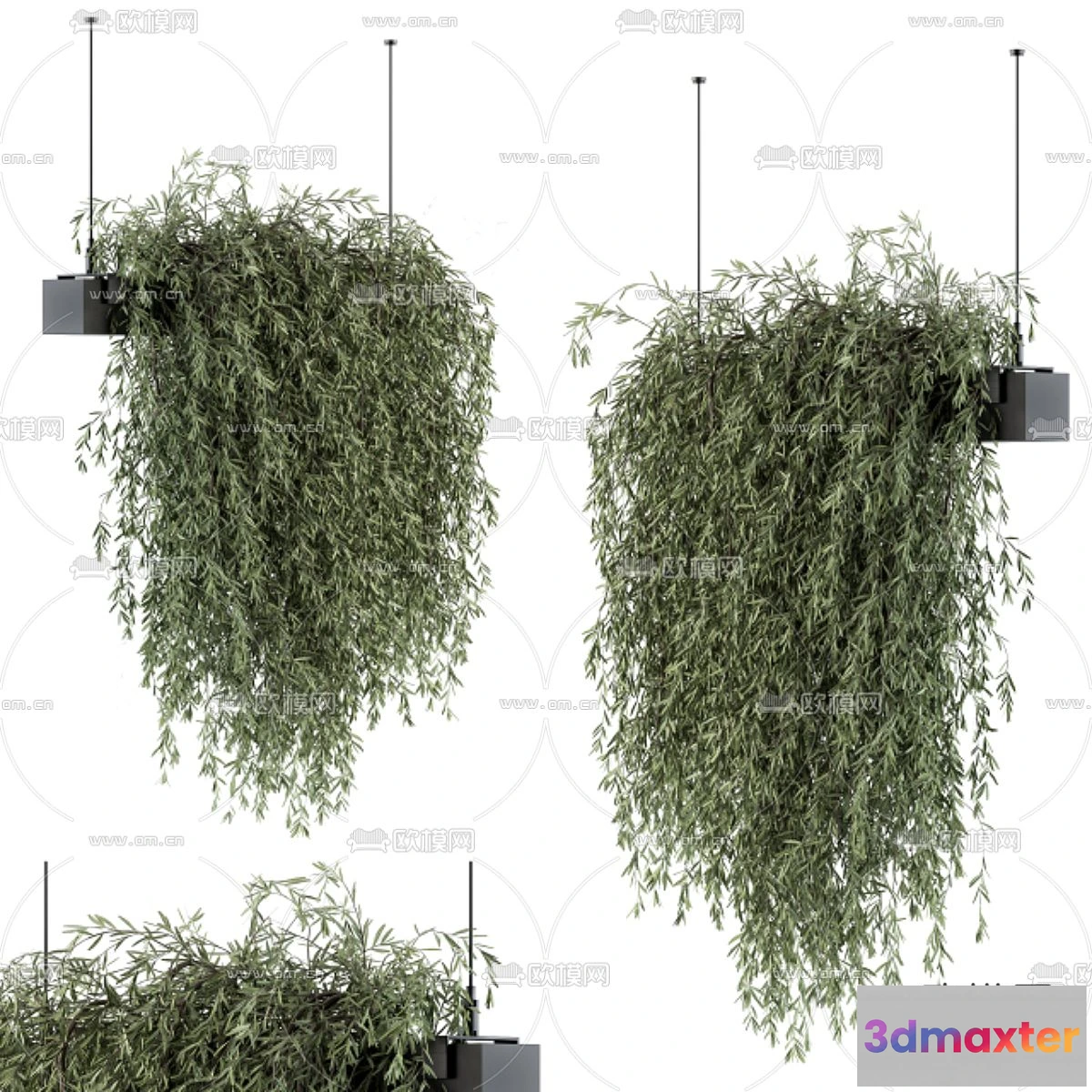 1109090 - Plants and Flower - 3D Modesl - 0224