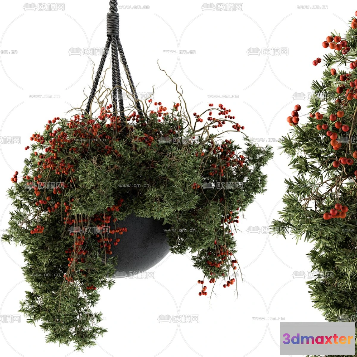 1109094 - Plants and Flower - 3D Modesl - 0226