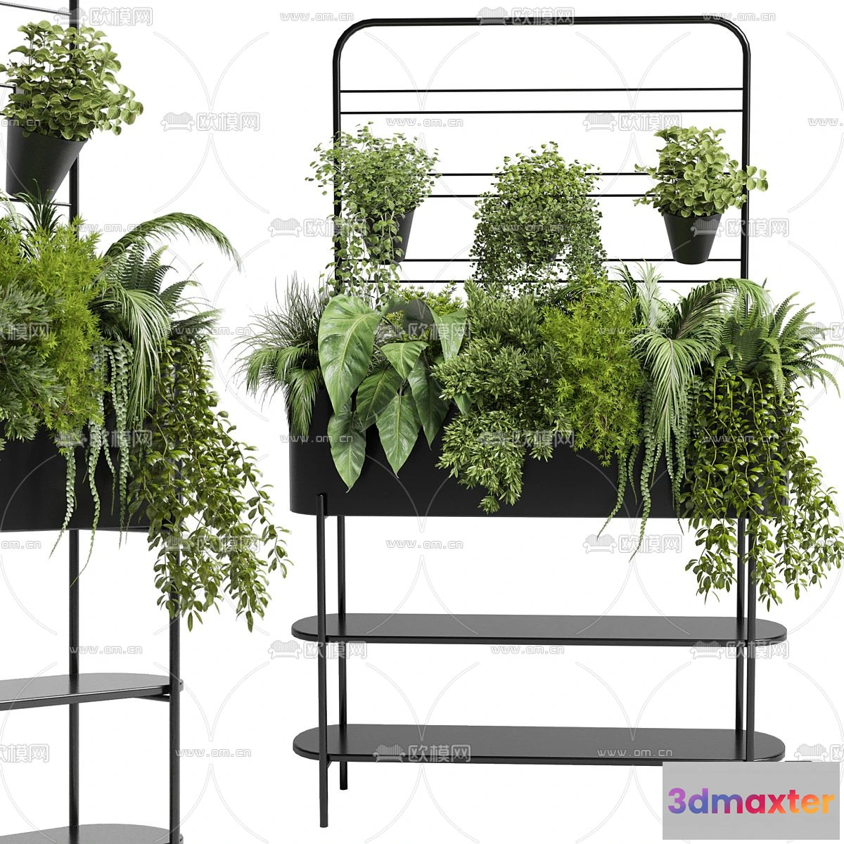 1109100 - Plants and Flower - 3D Modesl - 0229