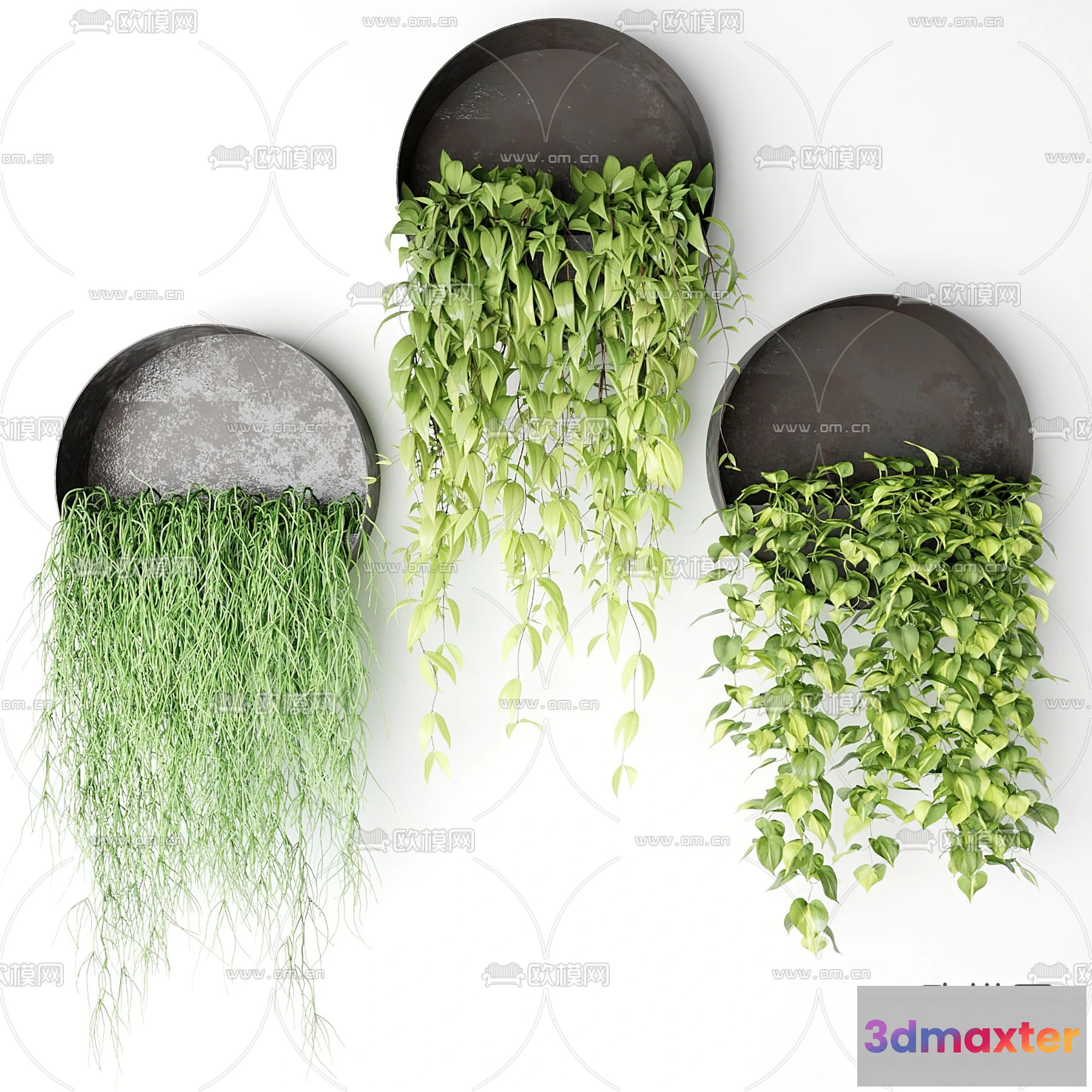 1109102 - Plants and Flower - 3D Modesl - 0230