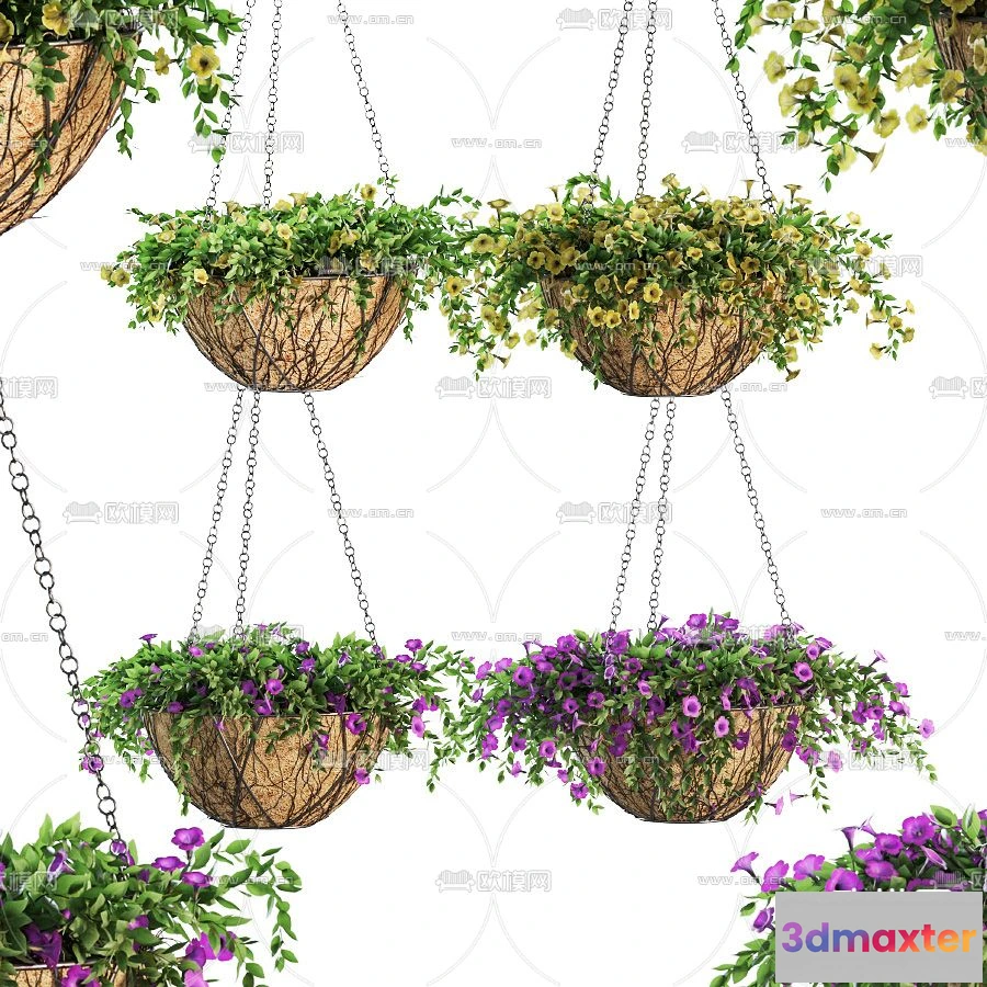 1109112 - Plants and Flower - 3D Modesl - 0235