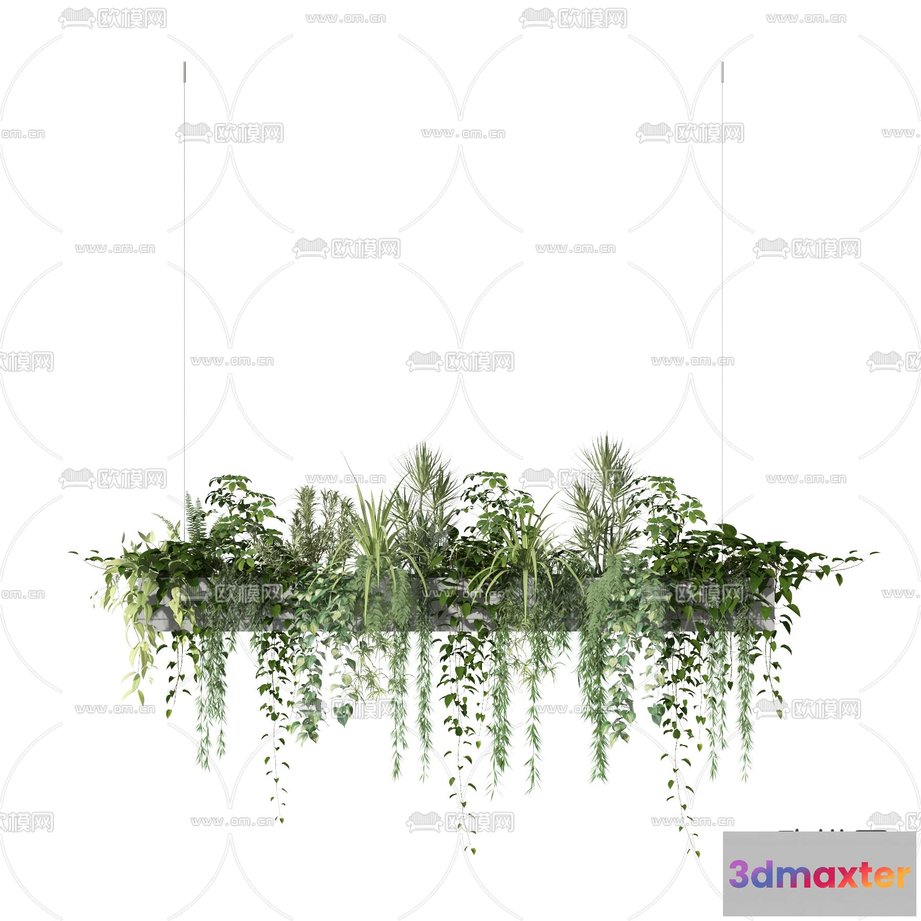 1109120 - Plants and Flower - 3D Modesl - 0239