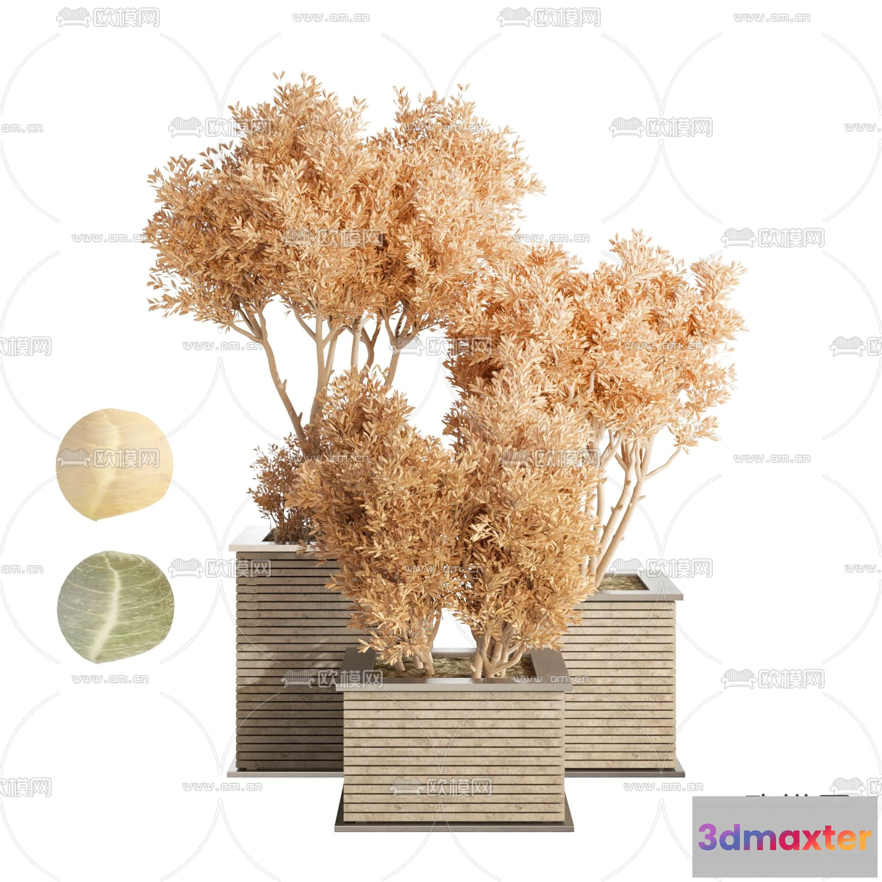 1109206 - Plants and Flower - 3D Modesl - 0282