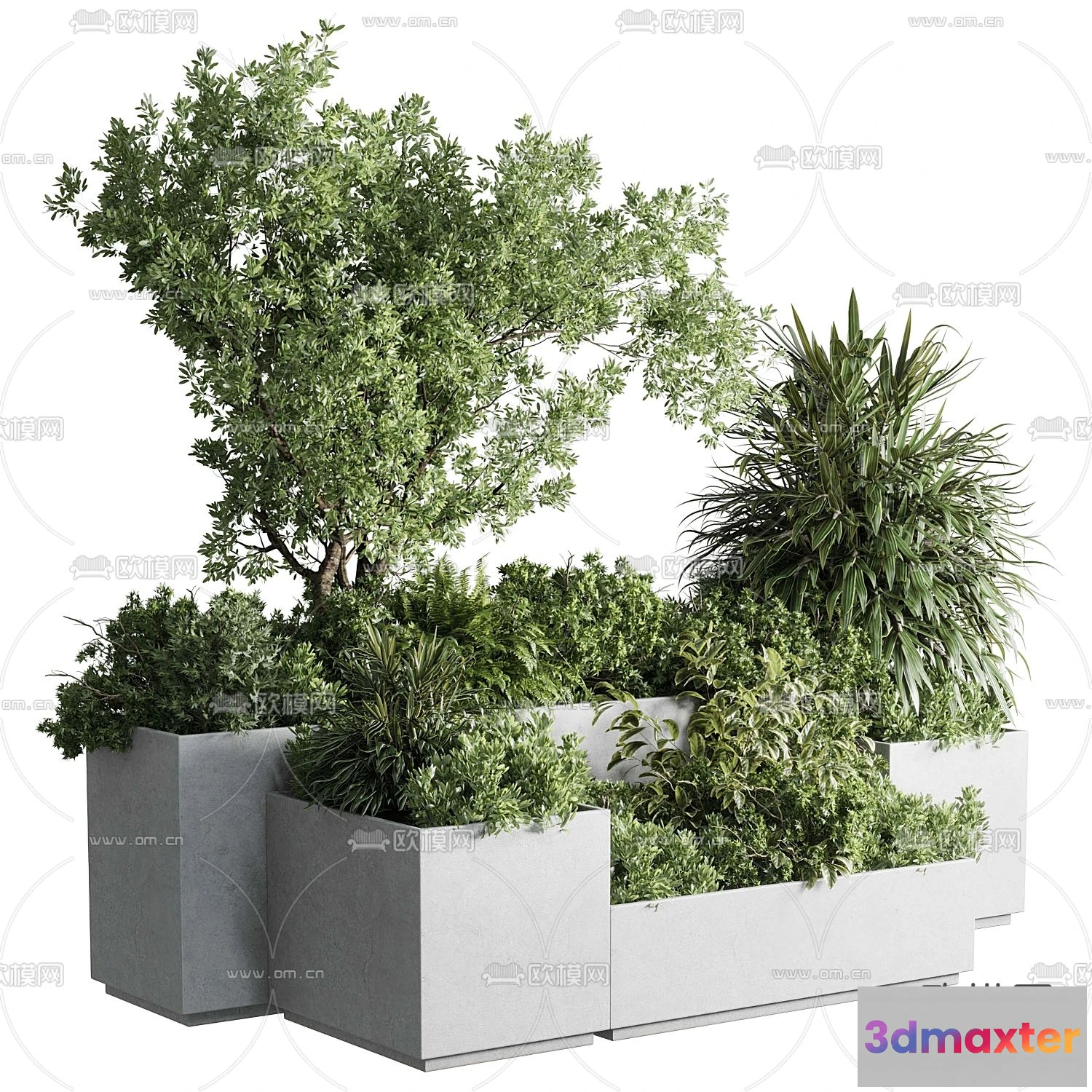 1109222 - Plants and Flower - 3D Modesl - 0290