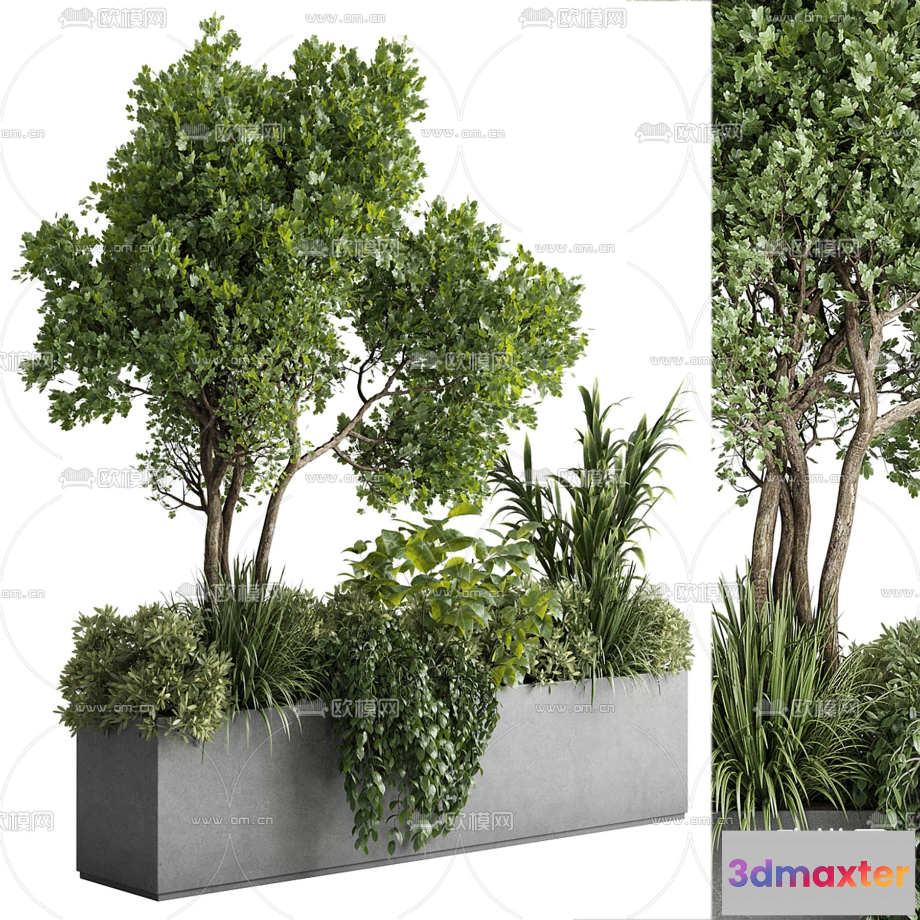 1109232 - Plants and Flower - 3D Modesl - 0295