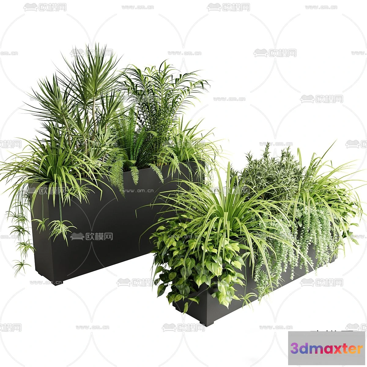 1109250 - Plants and Flower - 3D Modesl - 0304