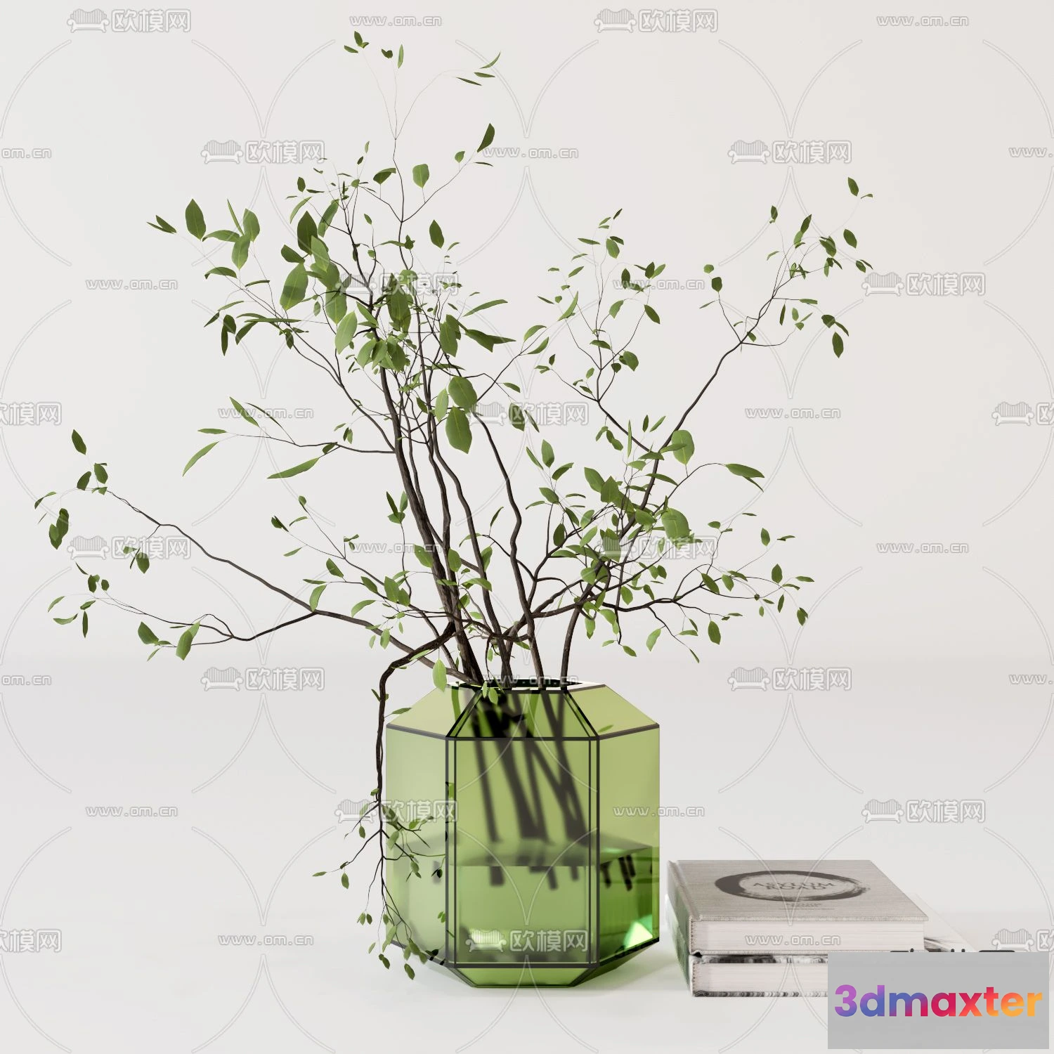 1109330 - Plants and Flower - 3D Modesl - 0344