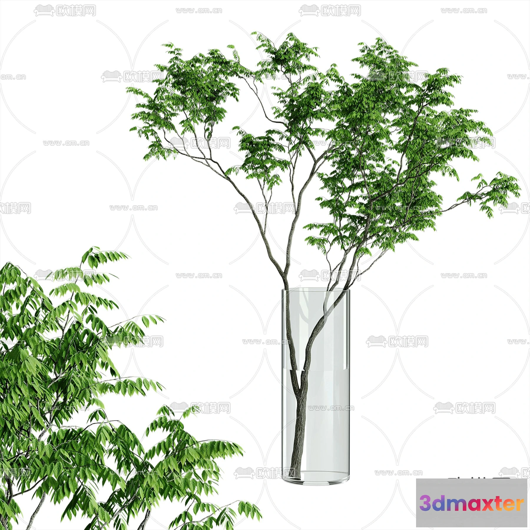 1109336 - Plants and Flower - 3D Modesl - 0347