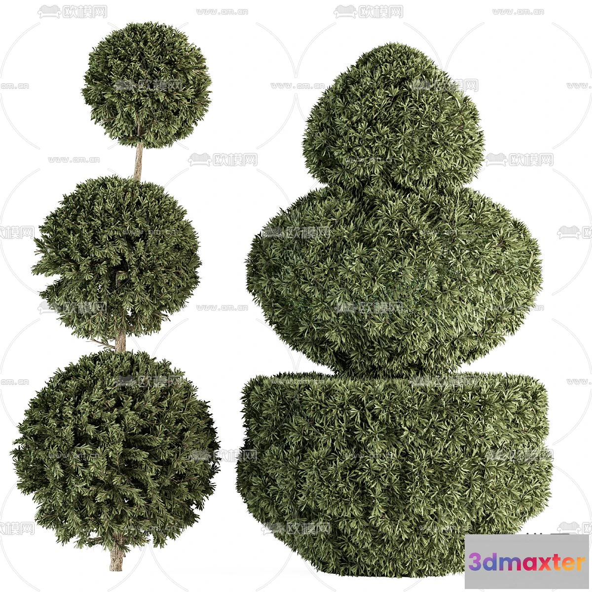 1109368 - Plants and Flower - 3D Modesl - 0363