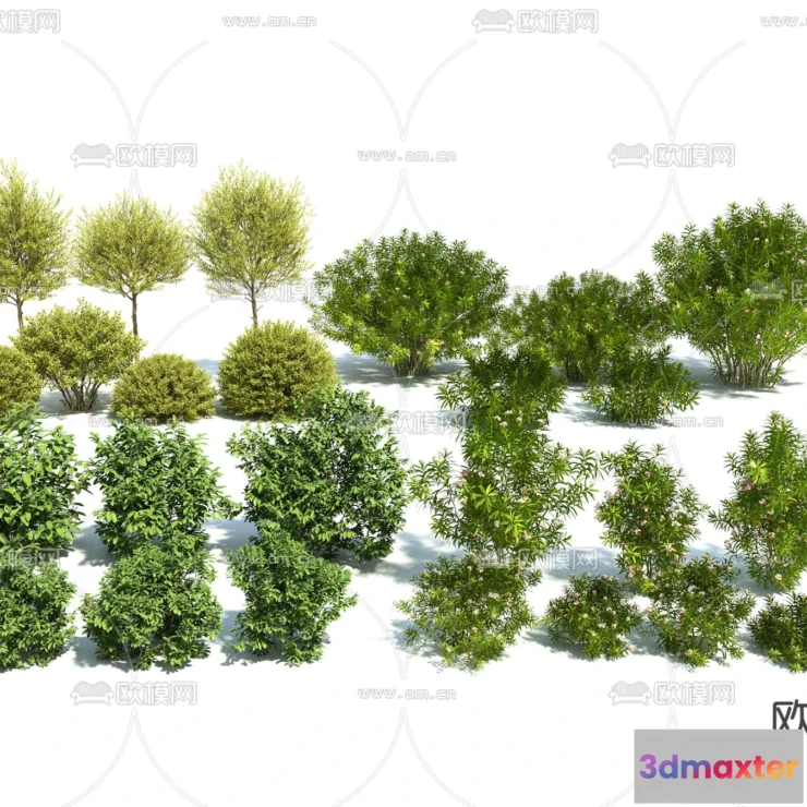 1109420 - Plants and Flower - 3D Modesl - 0389