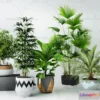 1133548 - Plants and Flowers - 3Ds Models - 0033