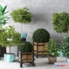 1133588 - Plants and Flowers - 3Ds Models - 0053