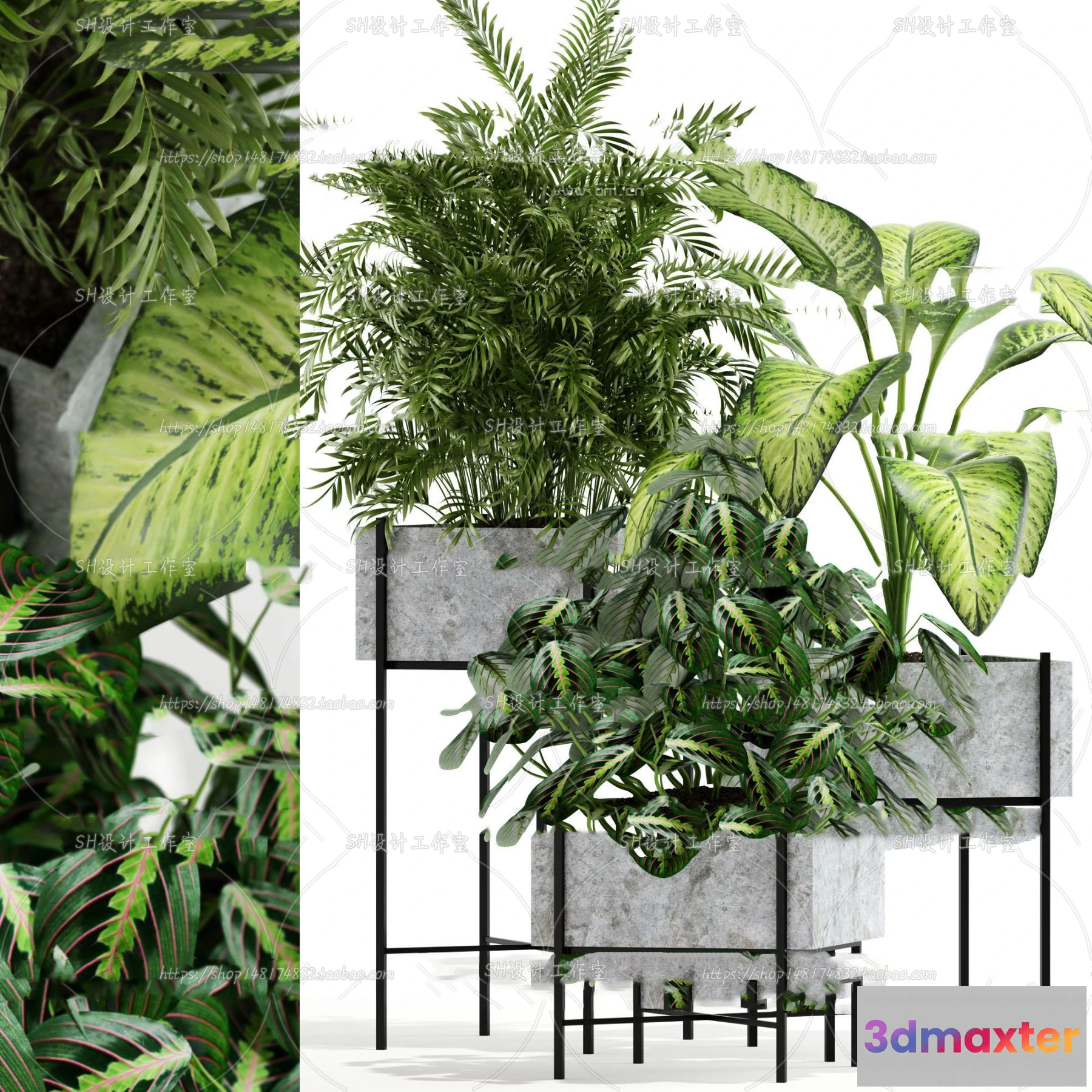 1133598 - Plants and Flowers - 3Ds Models - 0058