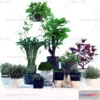 1133648 - Plants and Flowers - 3Ds Models - 0083