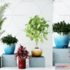 1133680 - Plants and Flowers - 3Ds Models - 0099