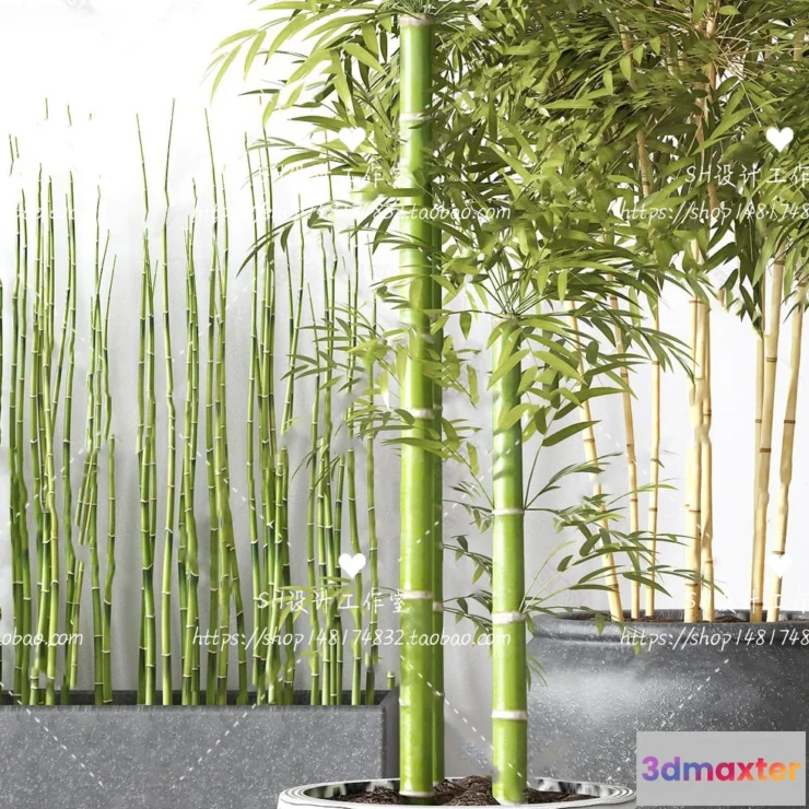 1133700 - Plants and Flowers - 3Ds Models - 0109