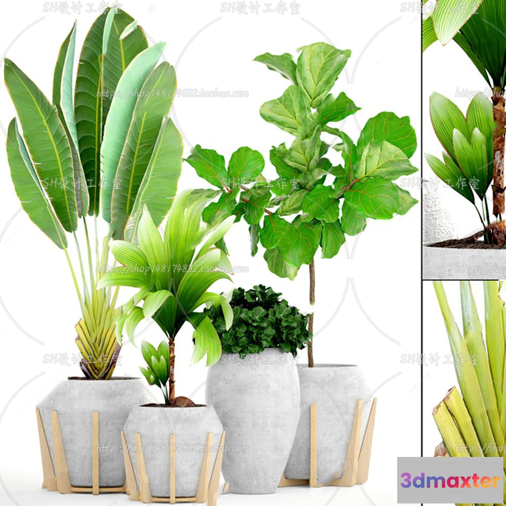 1133786 - Plants and Flowers - 3Ds Models - 0152