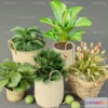 1133796 - Plants and Flowers - 3Ds Models - 0157