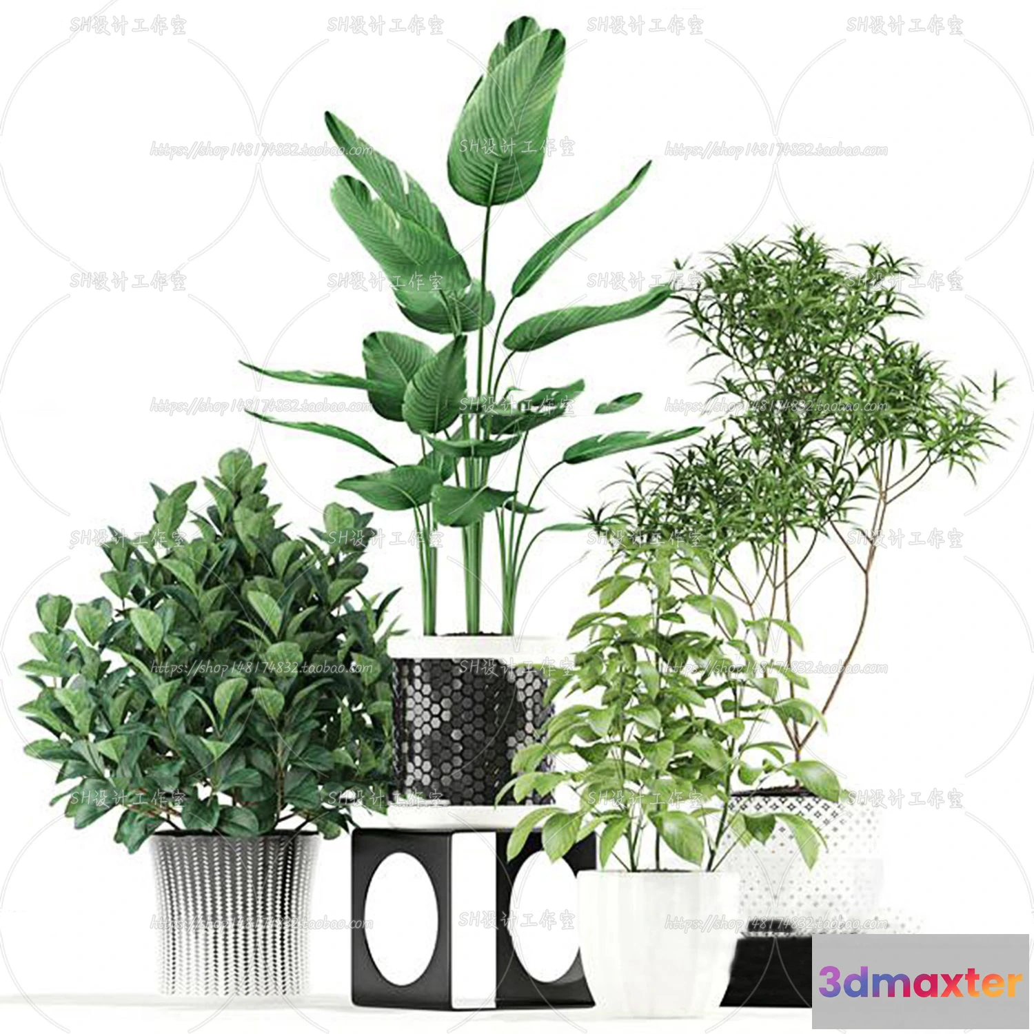 1133806 - Plants and Flowers - 3Ds Models - 0162