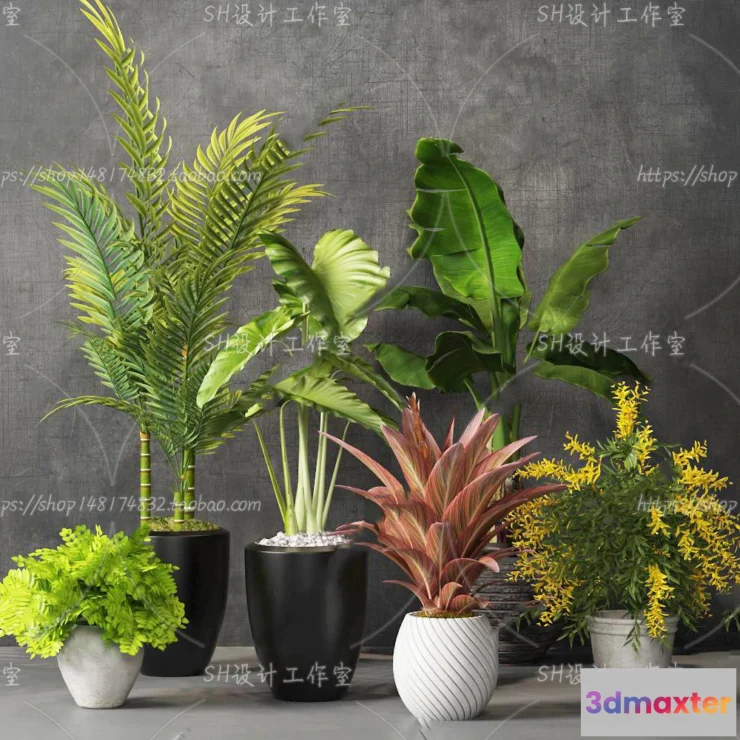 1133832 - Plants and Flowers - 3Ds Models - 0175