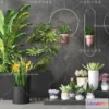 1133834 - Plants and Flowers - 3Ds Models - 0176