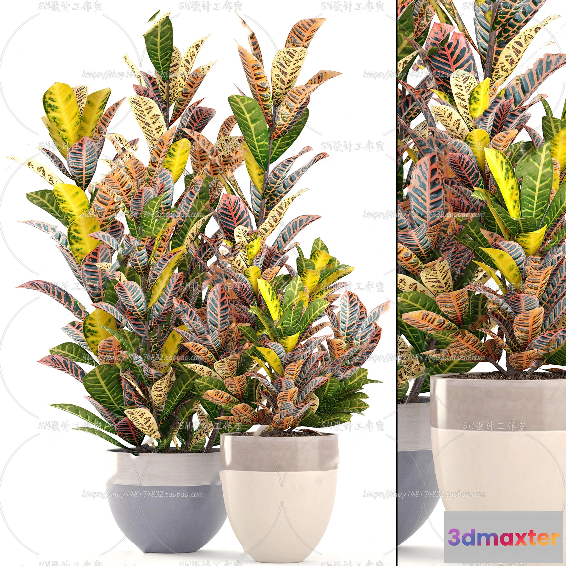 1133852 - Plants and Flowers - 3Ds Models - 0185