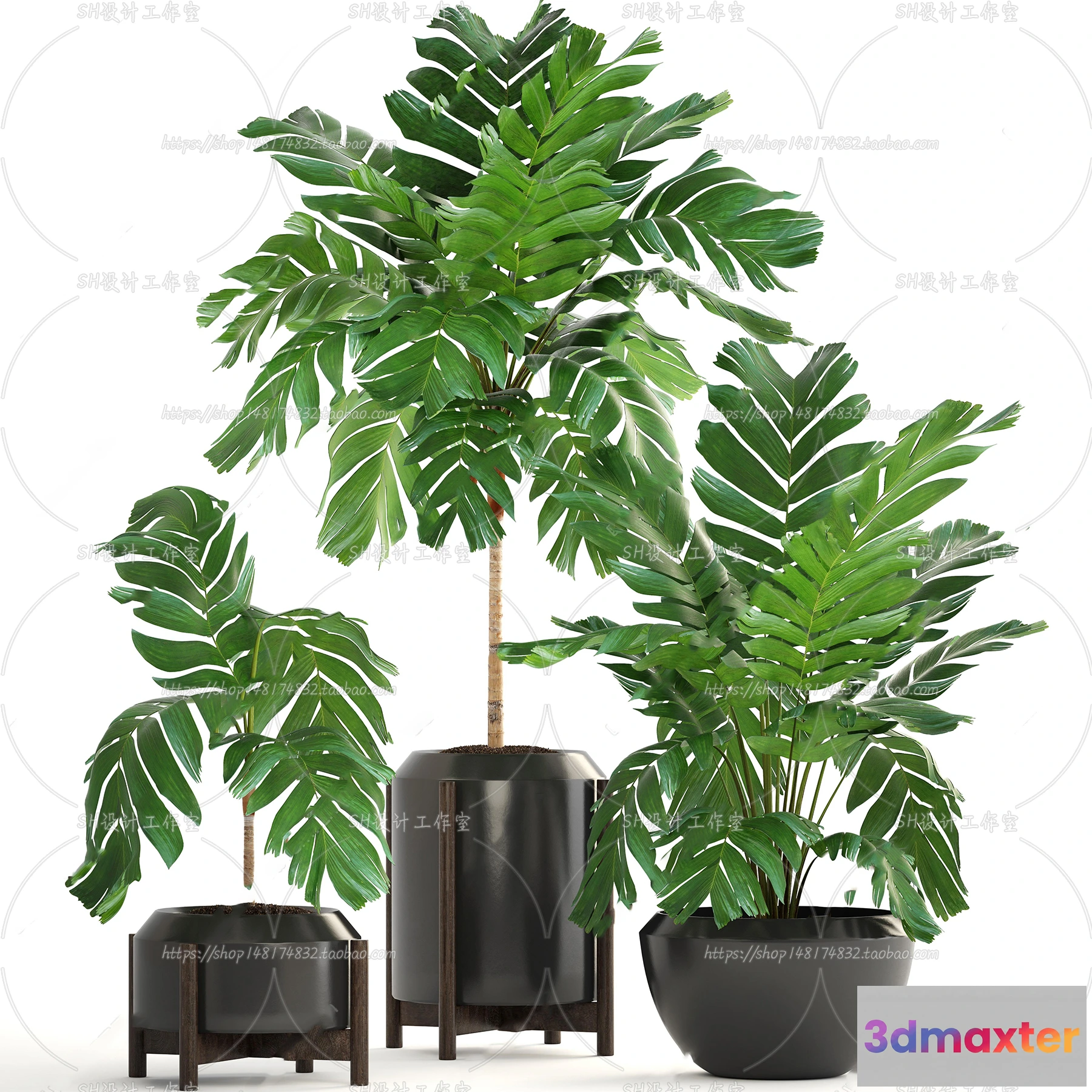 1133860 - Plants and Flowers - 3Ds Models - 0189