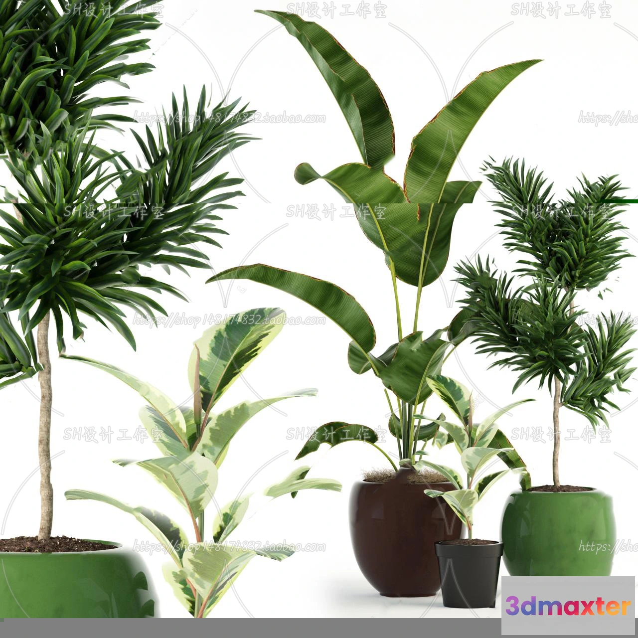 1133862 - Plants and Flowers - 3Ds Models - 0190