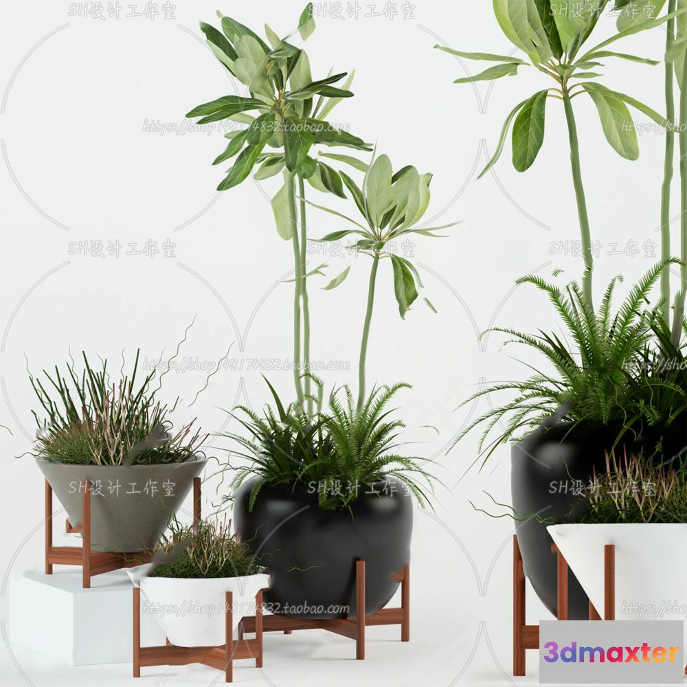 1133870 - Plants and Flowers - 3Ds Models - 0194