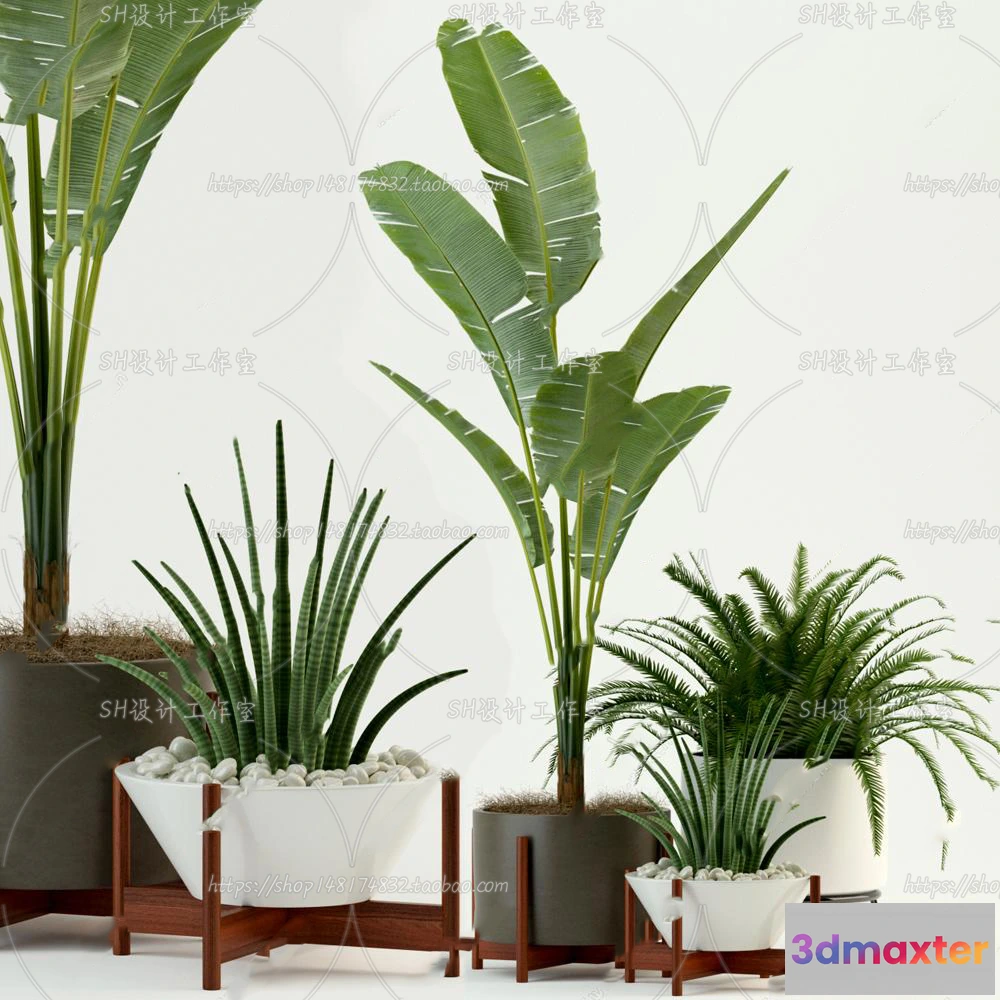 1133872 - Plants and Flowers - 3Ds Models - 0195