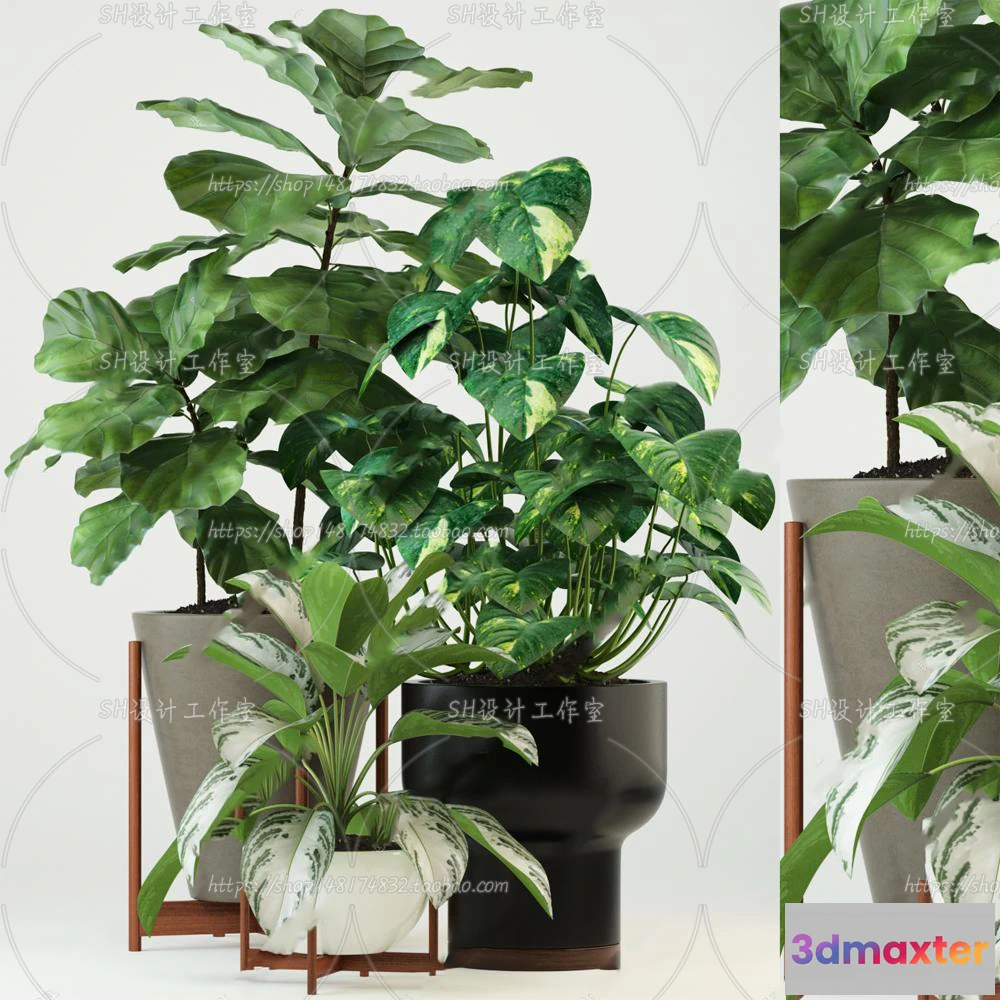 1133876 - Plants and Flowers - 3Ds Models - 0197