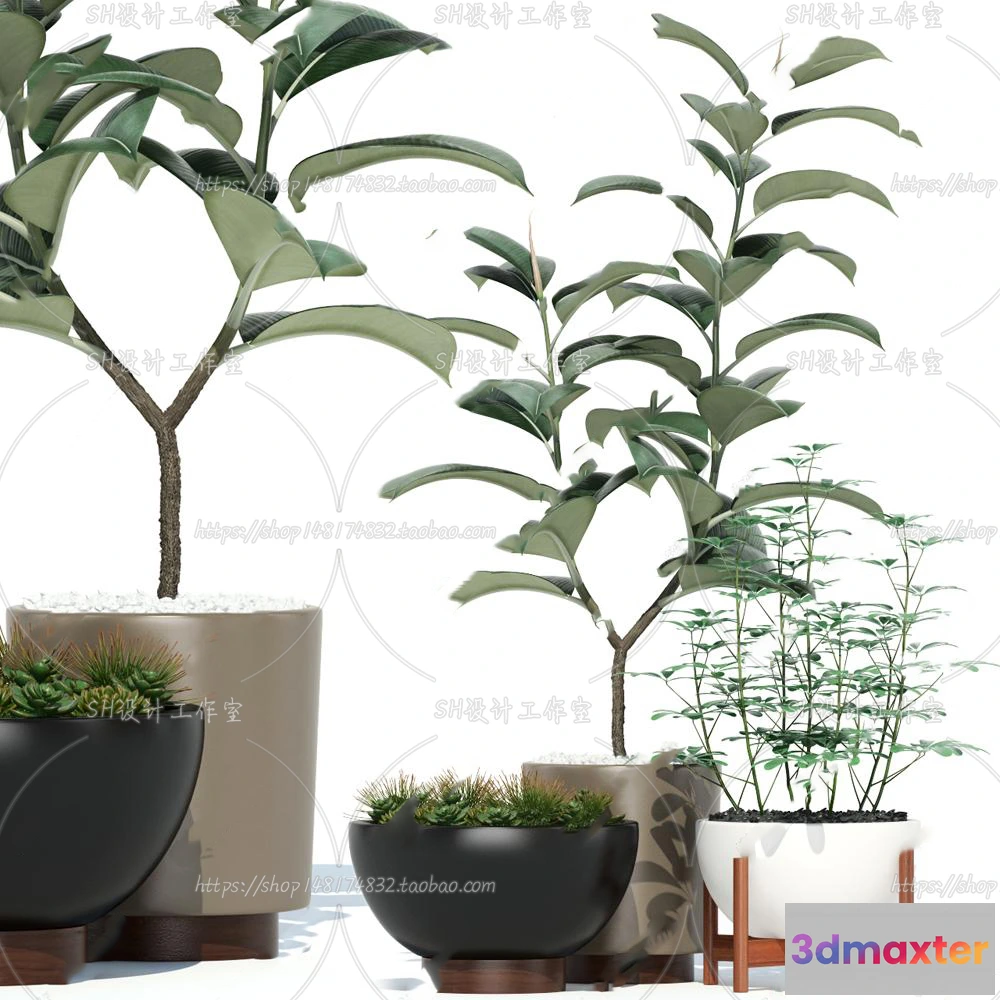 1133878 - Plants and Flowers - 3Ds Models - 0198