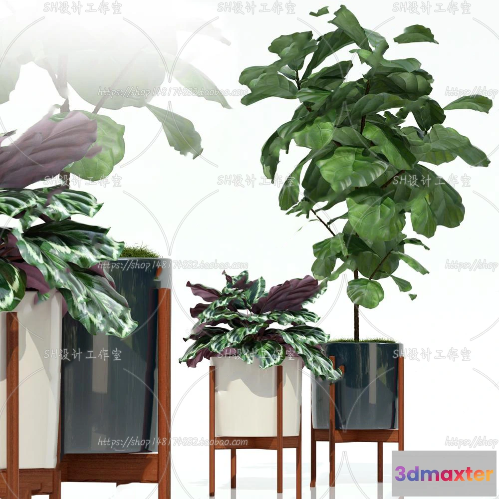 1133882 - Plants and Flowers - 3Ds Models - 0200