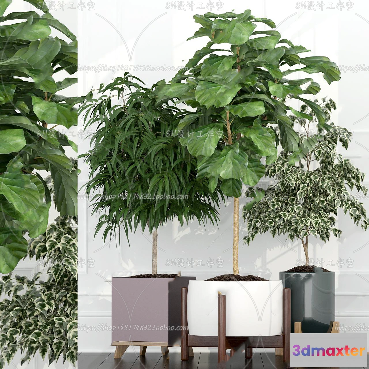 1133884 - Plants and Flowers - 3Ds Models - 0201