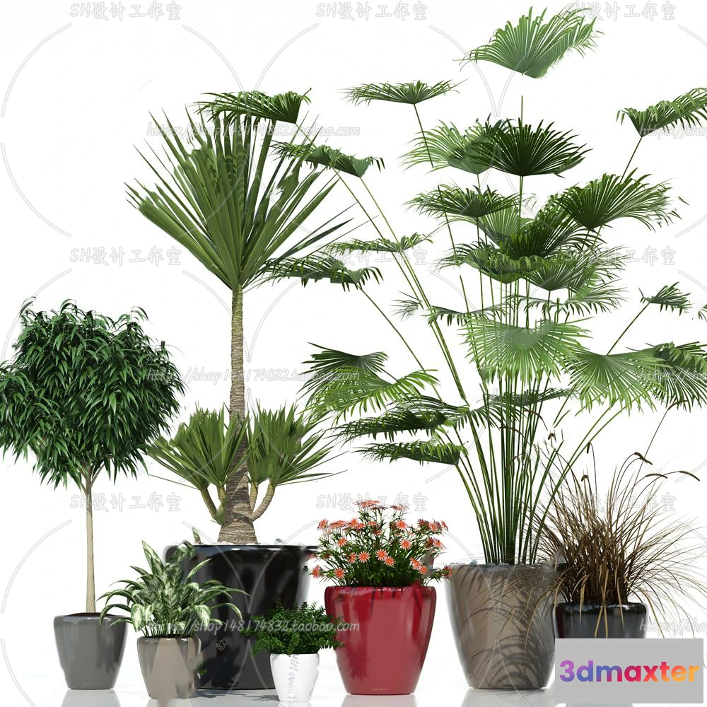 1133906 - Plants and Flowers - 3Ds Models - 0212