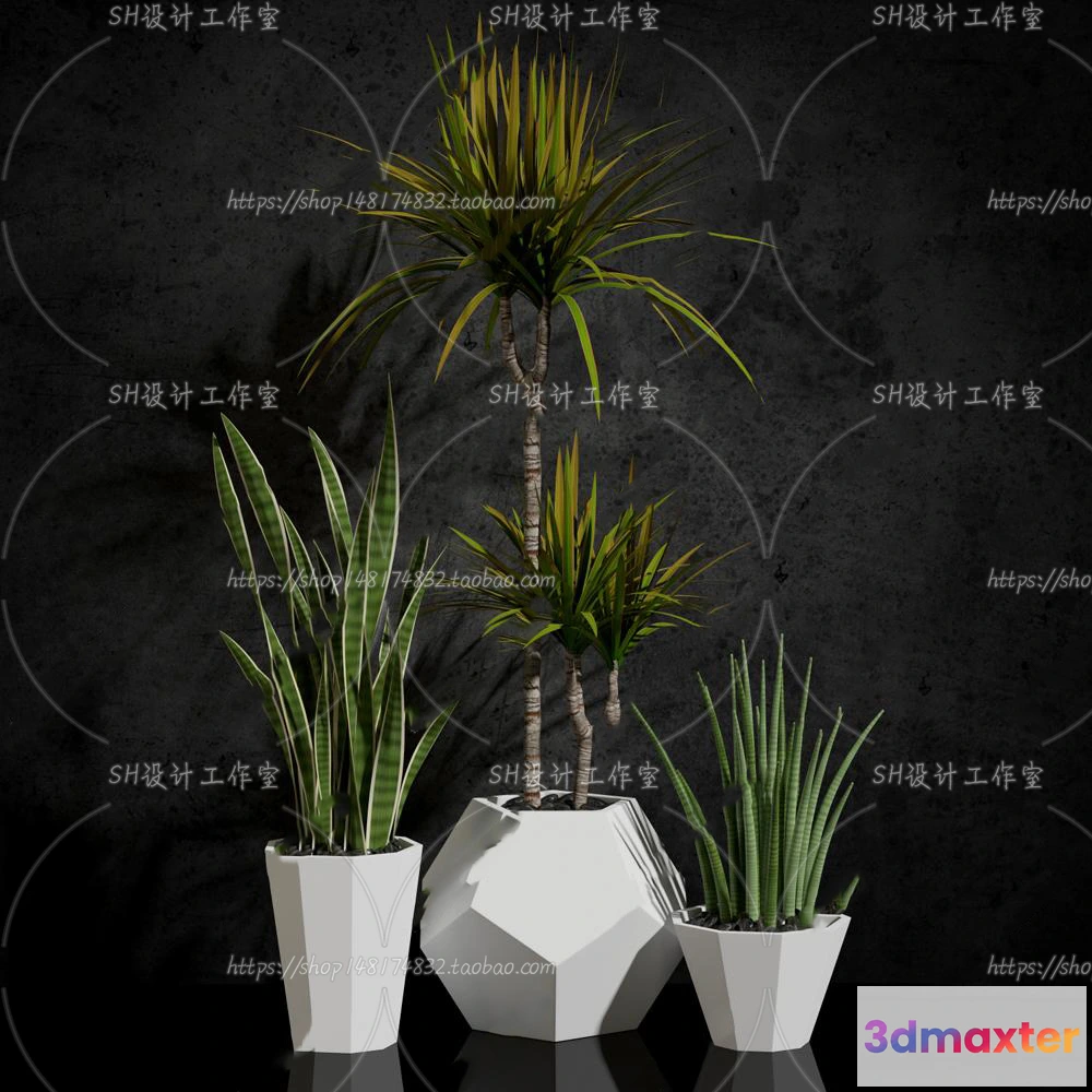 1133916 - Plants and Flowers - 3Ds Models - 0217