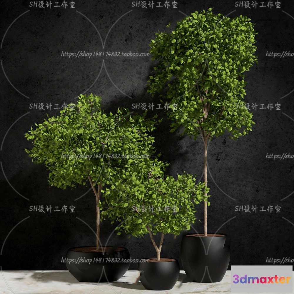 1133918 - Plants and Flowers - 3Ds Models - 0218