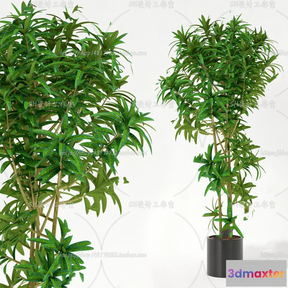 1133920 - Plants and Flowers - 3Ds Models - 0219