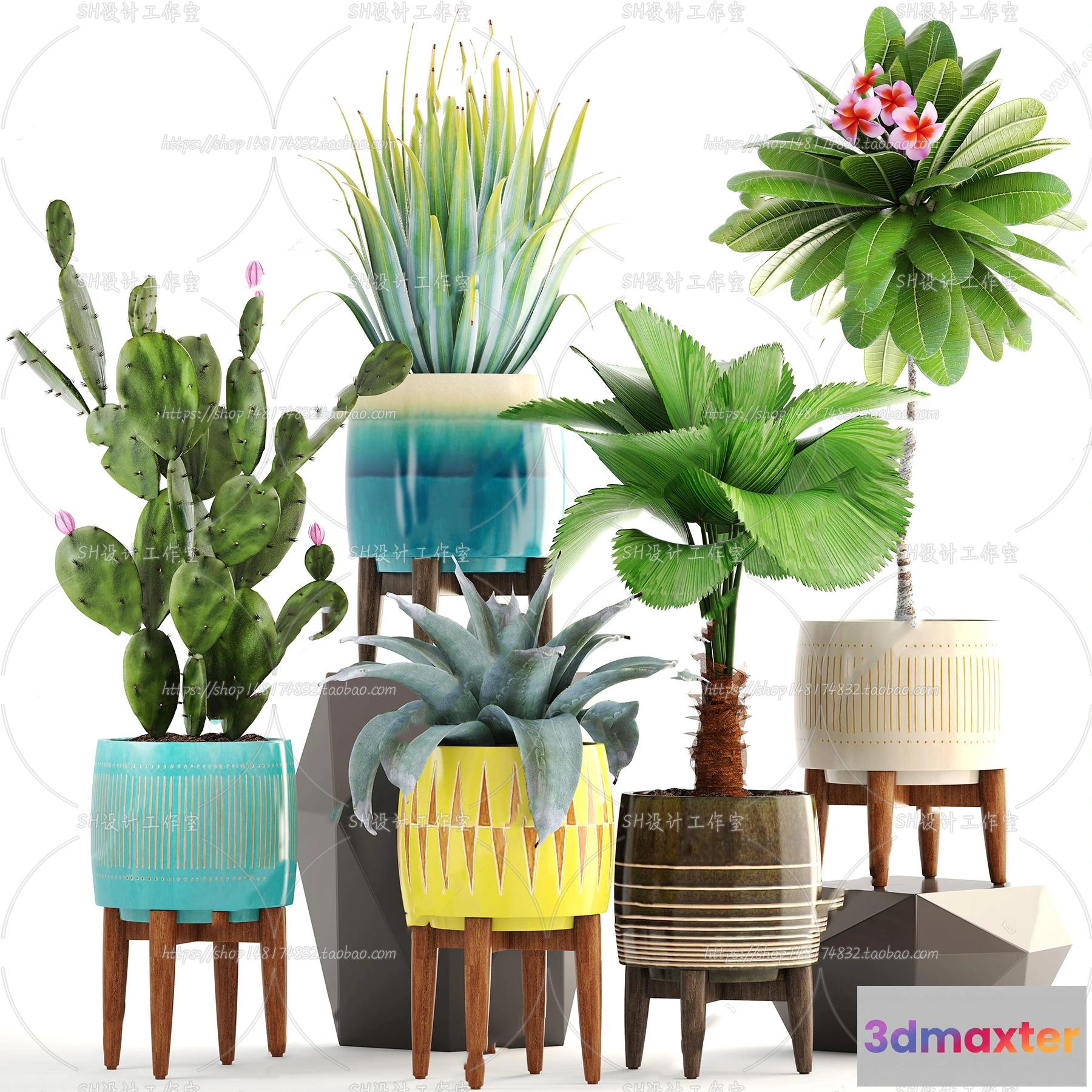 1133924 - Plants and Flowers - 3Ds Models - 0221
